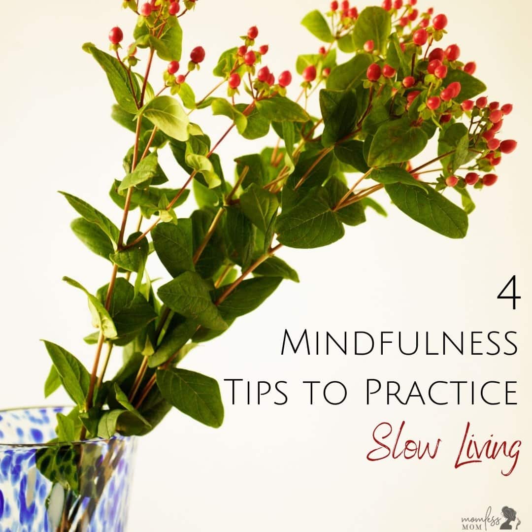 Slow Living with Mindfulness Tips to Practice a Conscious Living Slow Living with Mindfulness Tips to Practice a Conscious Living