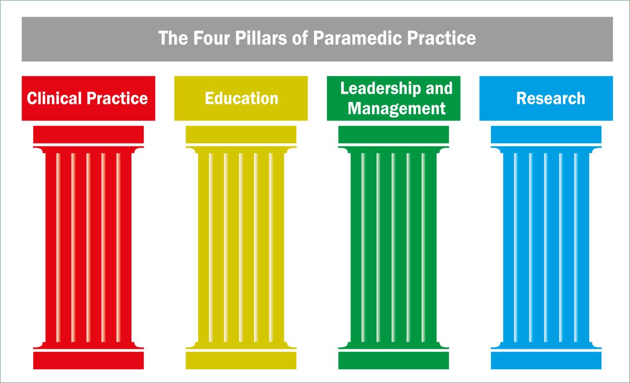 Pillars Of Practice Anp at Jason Davies blog Pillars Of Practice Anp at Jason Davies blog