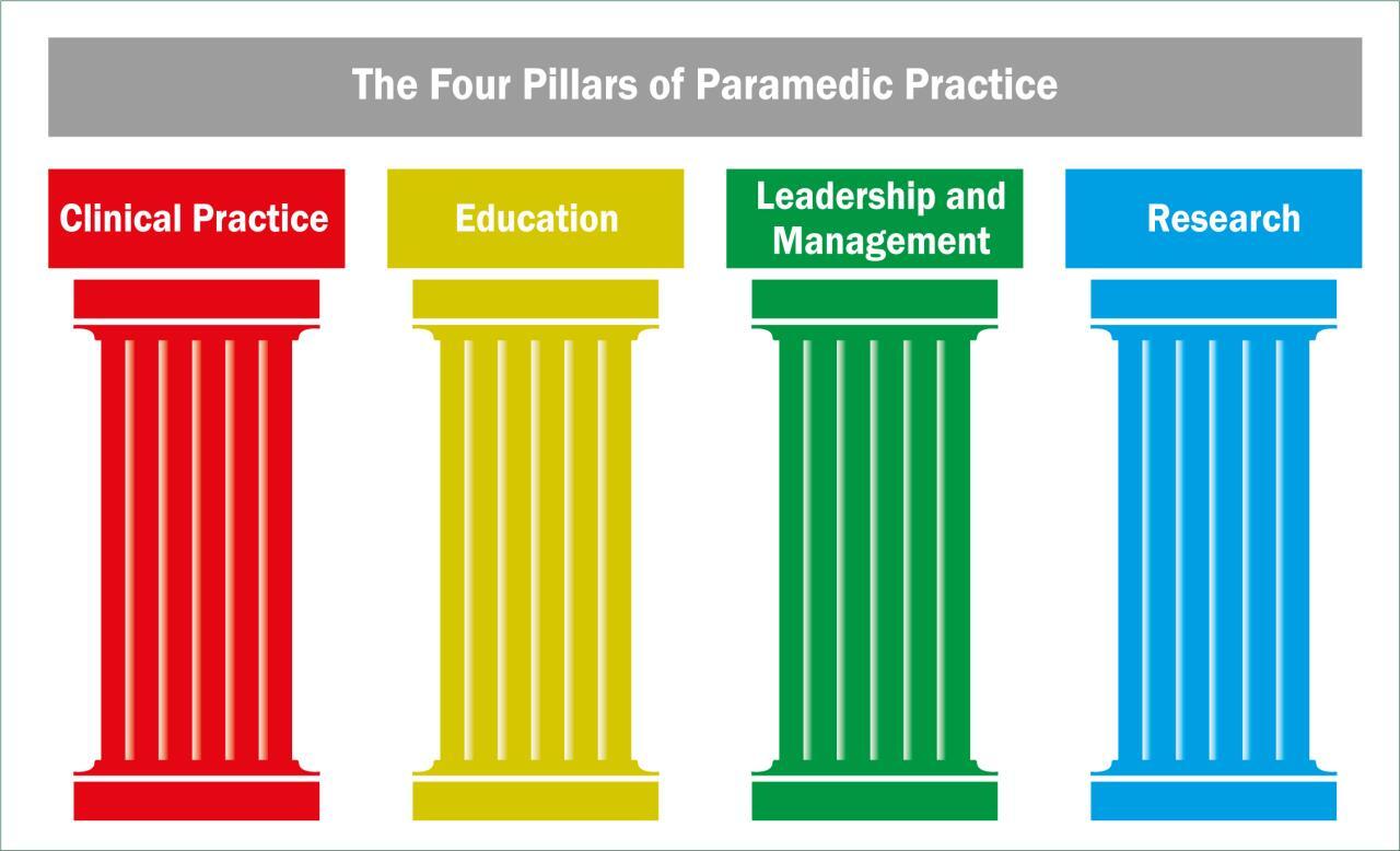 Pillars Of Practice Anp at Jason Davies blog Pillars Of Practice Anp at Jason Davies blog